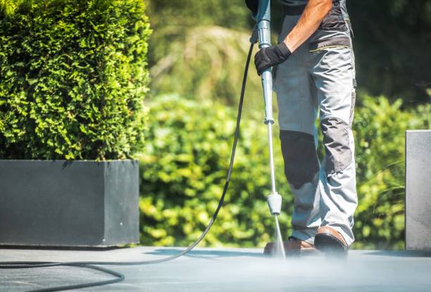 Solar Panel Cleaning in Troup, TX